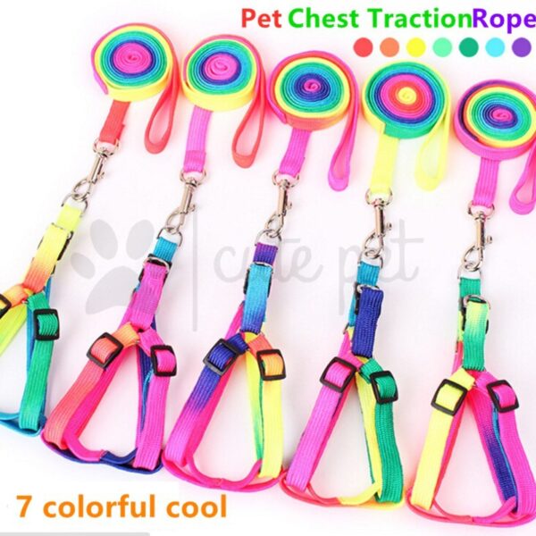 COD NEW Colorful Rainbow Pet Dog Collar Harness Leash Soft Walking Harness Lead Durable Rope Nylon PET DOG CAT RAINBOW HARNESS w/ LEASH SMALL & BIG Colorful Rainbow Pet Dog Collar Harness Leash Soft Walking Harness Lead Durable Rope Nylon Dog Pet Puppy