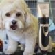 Professional Razor Pet Dog Hair Trimmer Animal Grooming Clippers Cat Cutter Machine Shaver Electric Scissor Clipper Set