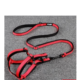 Dog Harness with Leash Summer Pet Adjustable Reflective Vest Set Training Walking Belt for Pet